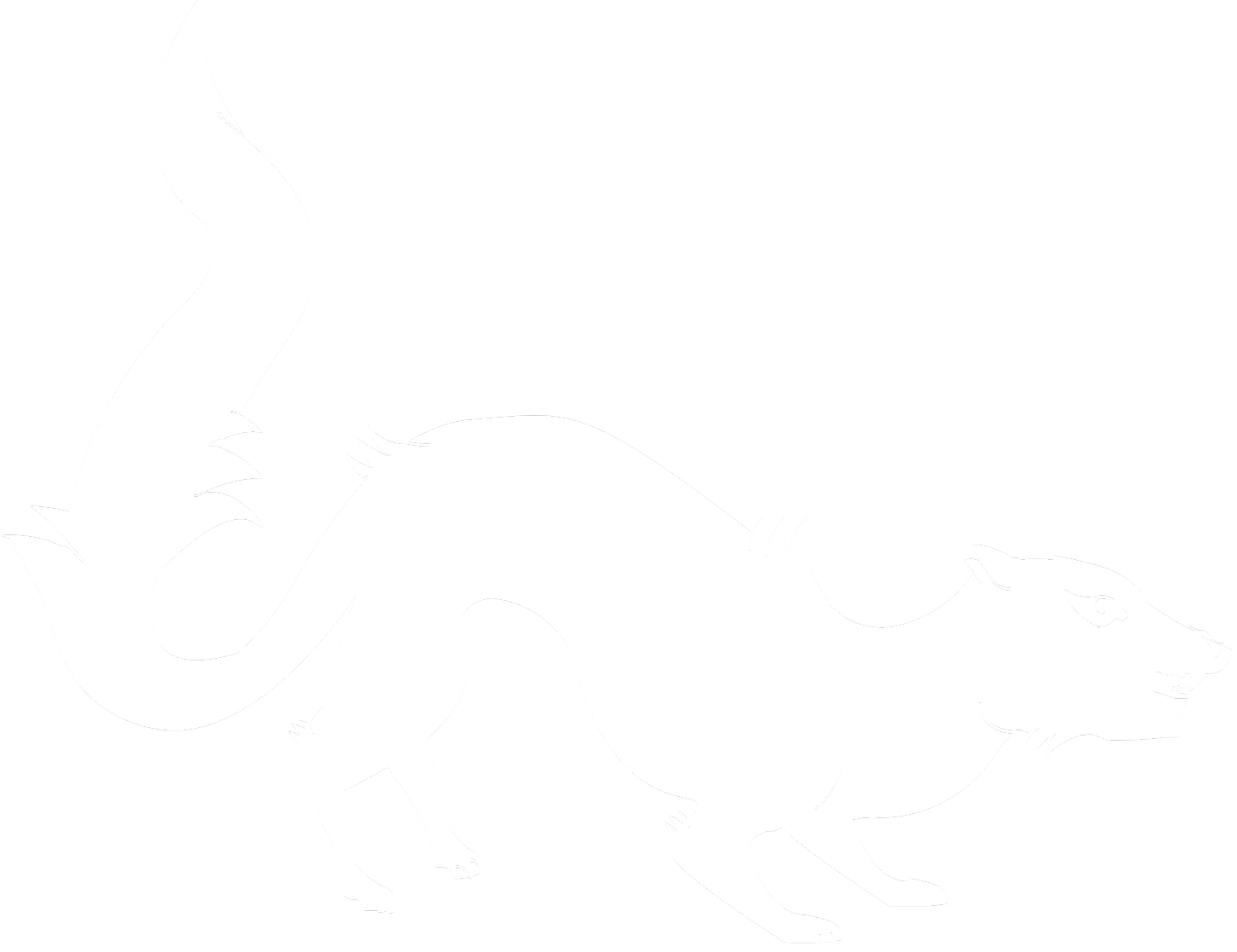 Аутсорсингова компанія SOLVENSY®, логотип